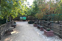 Територія зоопарку Сафарі, фото 10