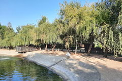Территория зоопарка Сафари, фото 3