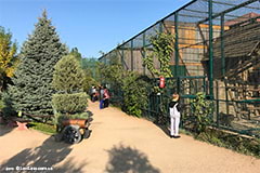 Территория зоопарка Сафари, фото 8