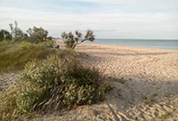 Пляж: Початок Бердянської коси, фото 3