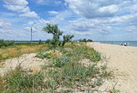 Бердянск: пляж на Дальней косе, фото 9