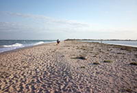 Бердянськ: Нудистський пляж, фото 4